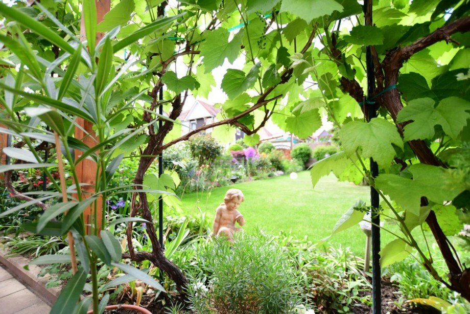Blick in den Garten Doppelhaush�lfte Frankfurt