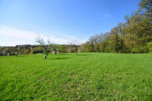 Wiesengrundst�ck 1 Zwei sch�ne Wiesengrundst�cke in Brensbach/H�llerbach