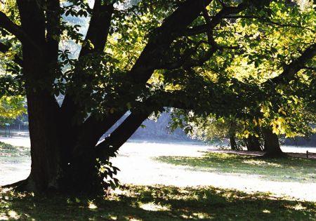 Im Park Villa Darmstadt