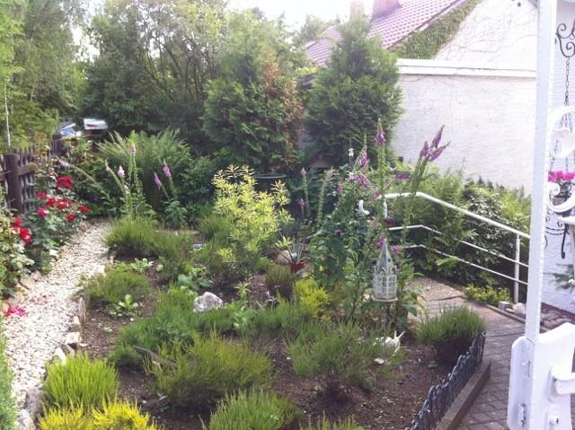 Garten vorne Einfamilienhaus Brombachtal