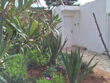 Einganf Bungalow in Top-Lage von Ibiza in Roca Llisa