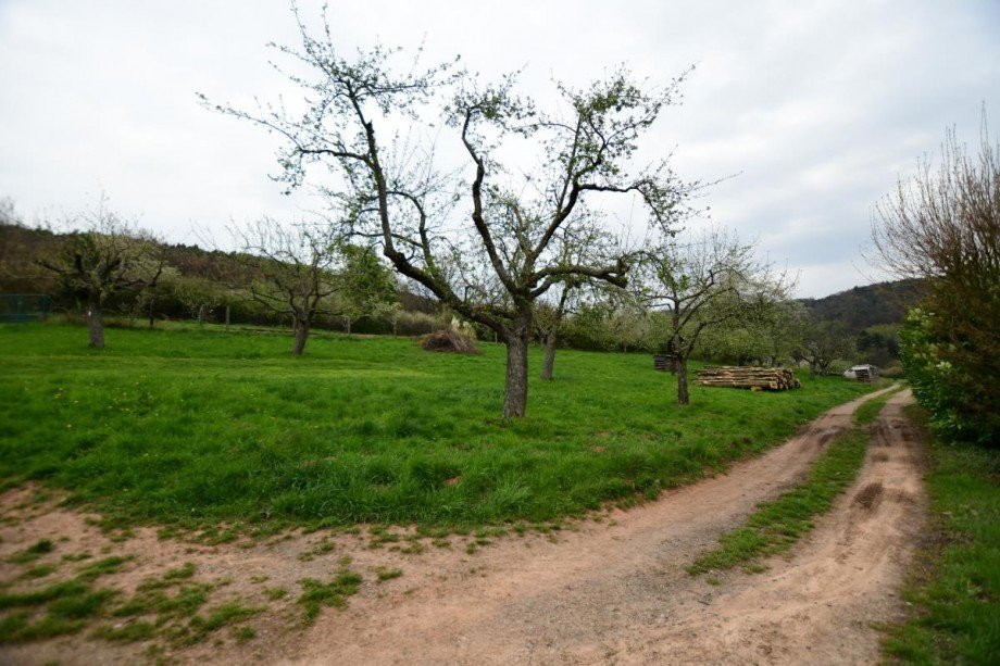 Feldrandlage Villa Gro�-Umstadt