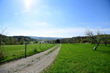 Wiesengrundst�ck 1 Zwei sch�ne Wiesengrundst�cke in Brensbach/H�llerbach