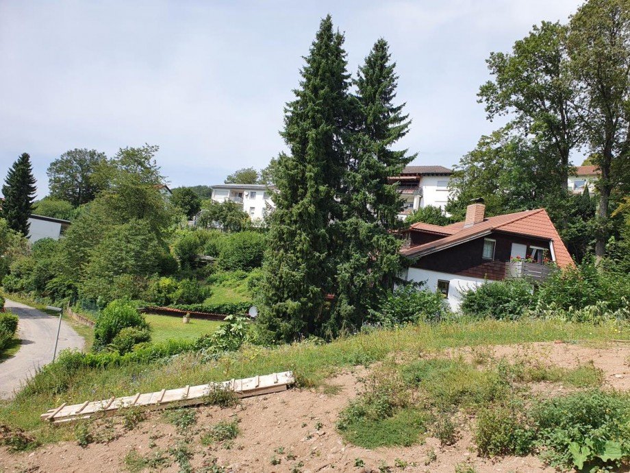 Hanglage Wohngrundst�ck Lindenfels