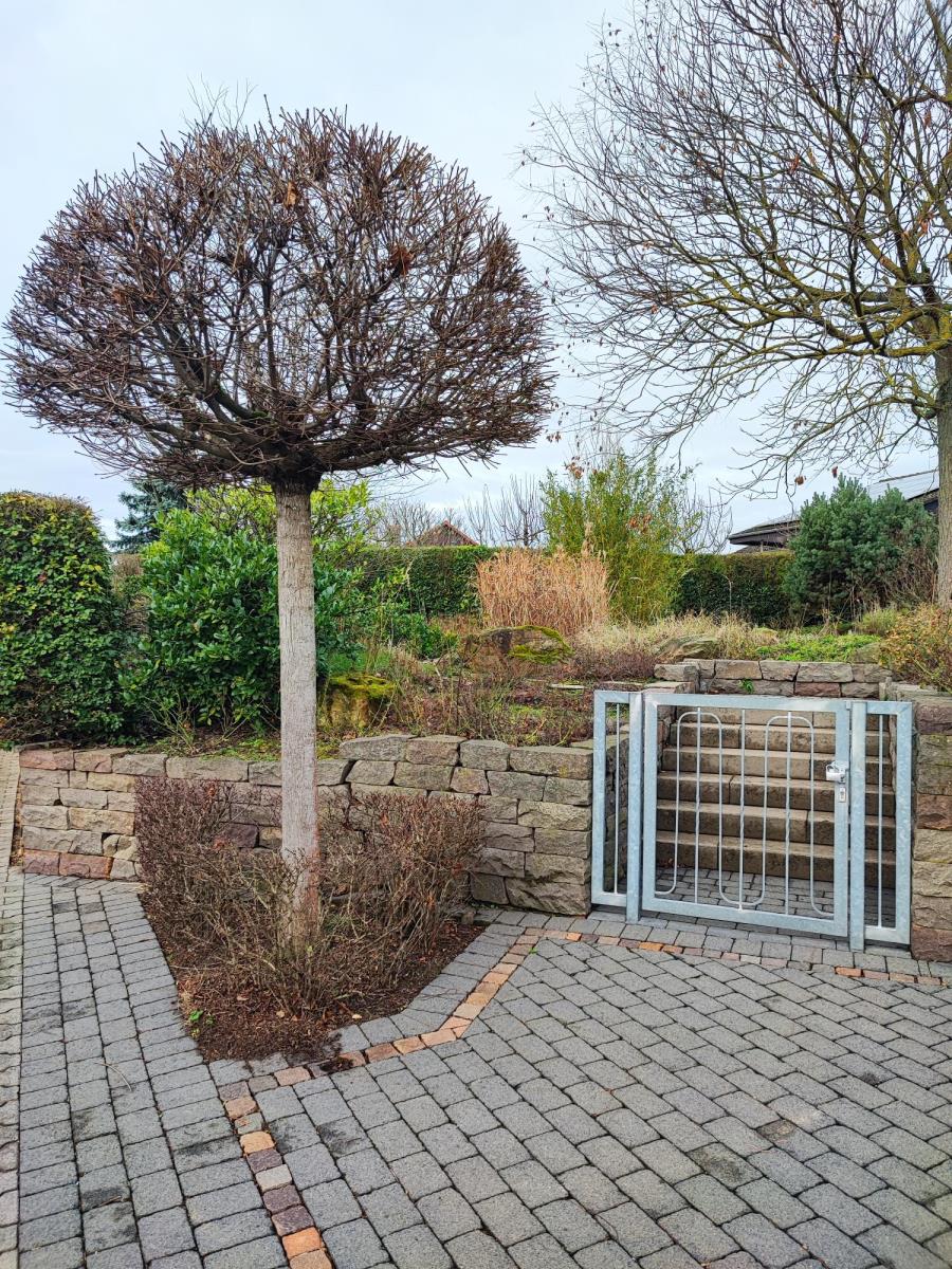Eingangsbereich Einfamilienhaus Gro�-Umstadt