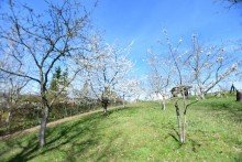 Obstbaumgrundst�ck Haus mit 2 Wohneinheiten in Top-Lage von Fr�nkisch-Crumbach mit gro�en Obstbaumgrundst�ck