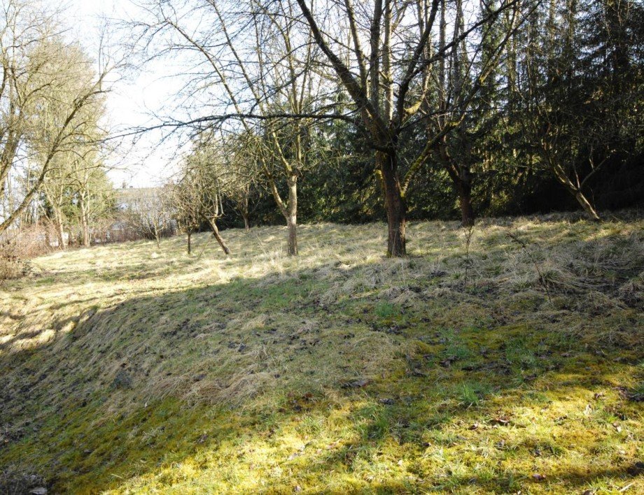 Grundst�ck Mehrfamilienhaus Reichelsheim