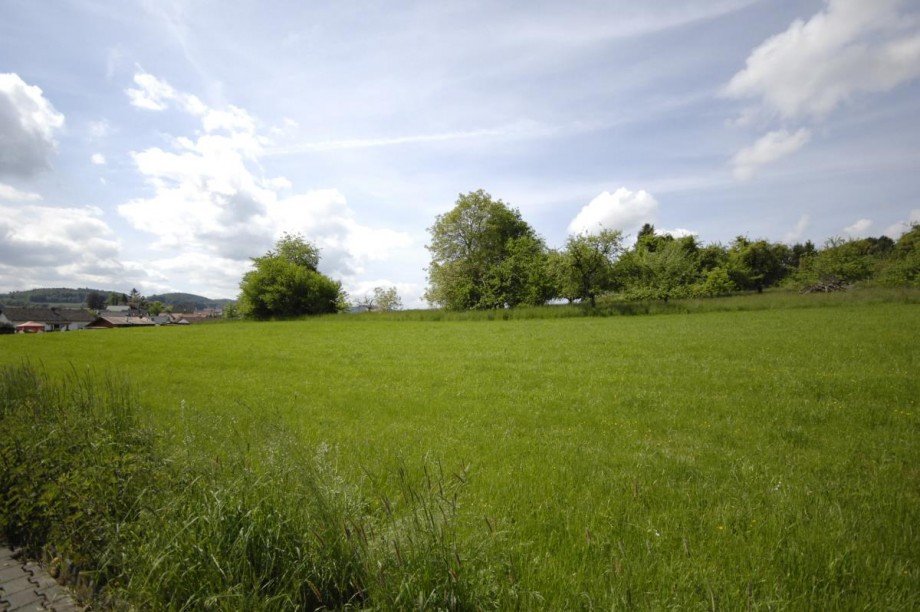 Direkte Feldrandlage Mehrfamilienhaus Reichelsheim