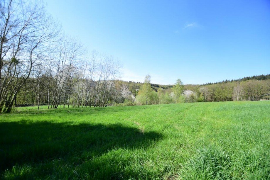 Wiesengrundst�ck 2 Land- / Forstwirtschaft - Grdst. Brensbach