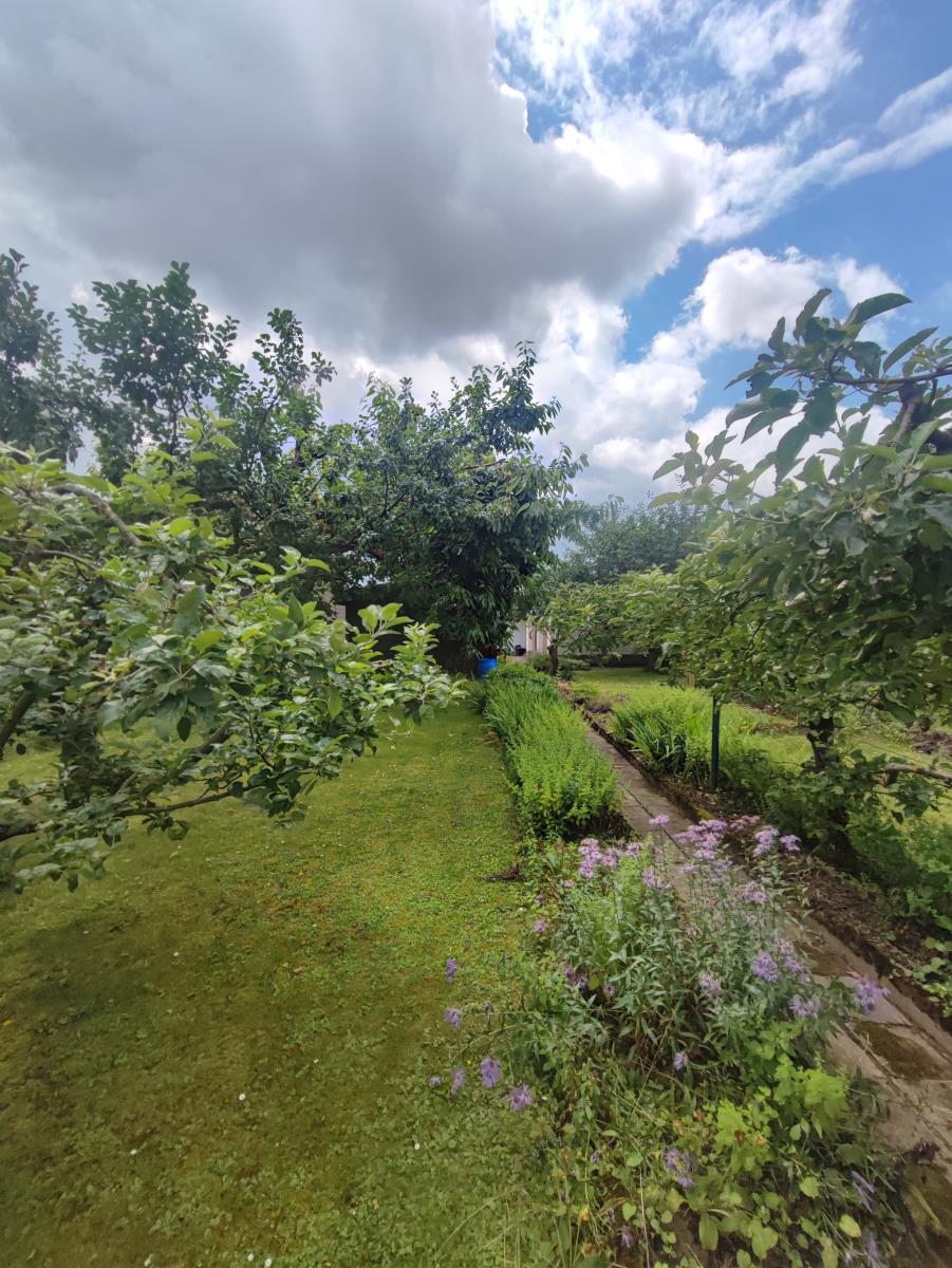 Garten Einfamilienhaus Otzberg