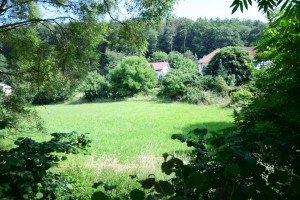 Hauptbild Großes, idyllisches Baugrundstück in Ober-Kainsbach mit vielen Möglichkeiten