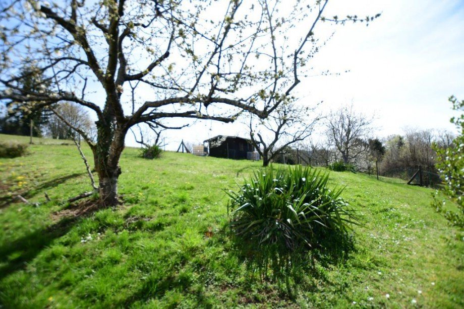 Blick in den Garten Einfamilienhaus Fr�nkisch-Crumbach