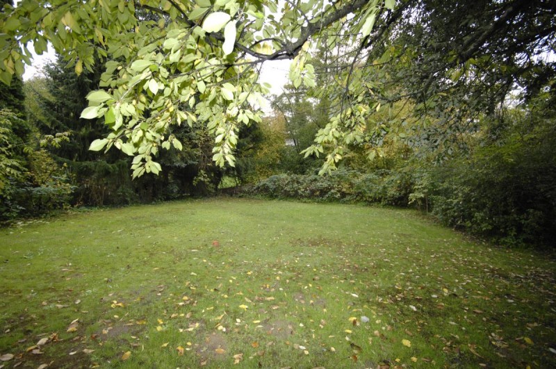 Blick in den Garten Etagenwohnung Nieder-Ramstadt