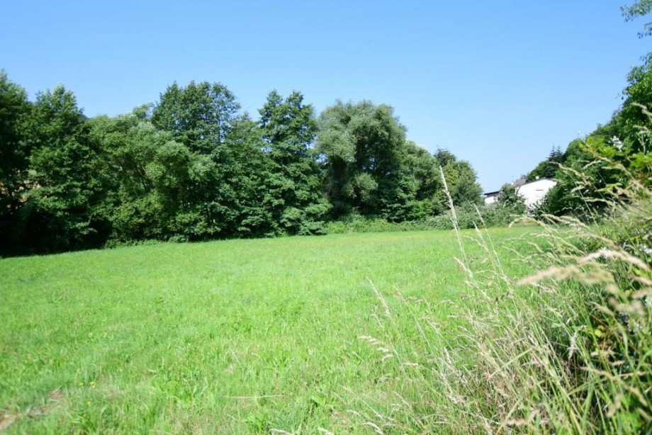 Baugrundst�ck Wohngrundst�ck Reichelsheim/Ober-Kainsbach
