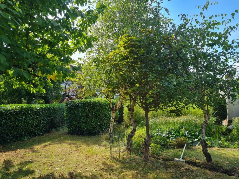 Garten 1 Haus Gro�-Umstadt