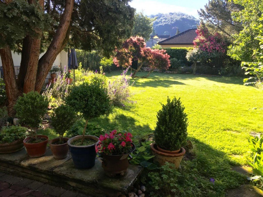 Garten Einfamilienhaus Alsbach-H�hnlein