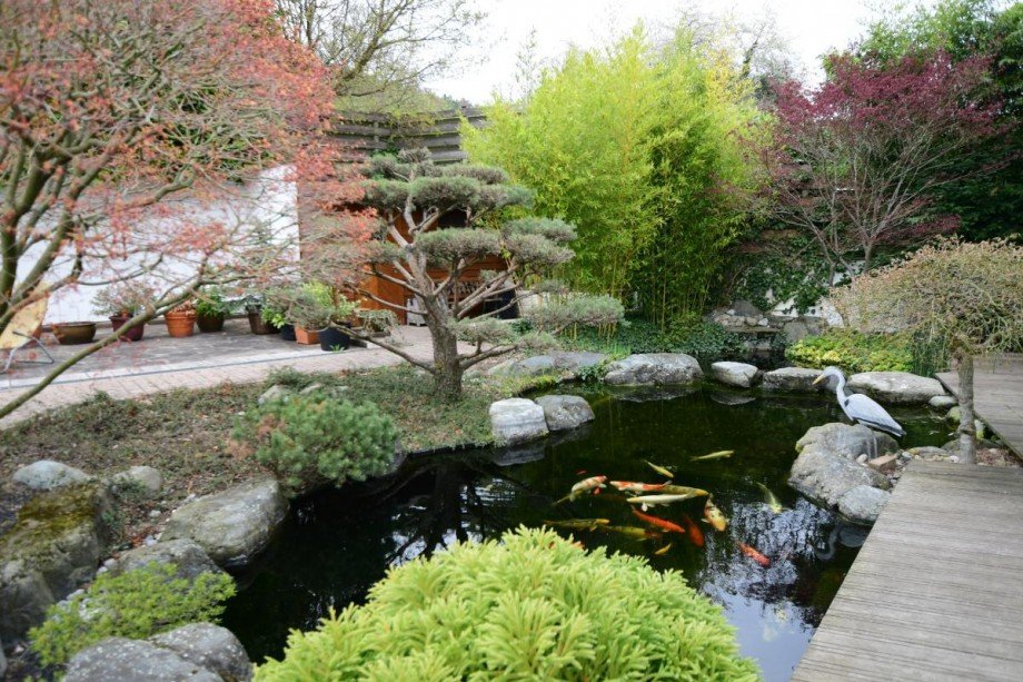 Teich Villa Gro�-Umstadt