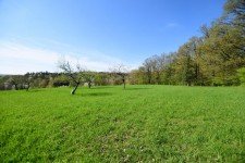 Hauptbild Zwei schöne Wiesengrundstücke in Brensbach/Höllerbach