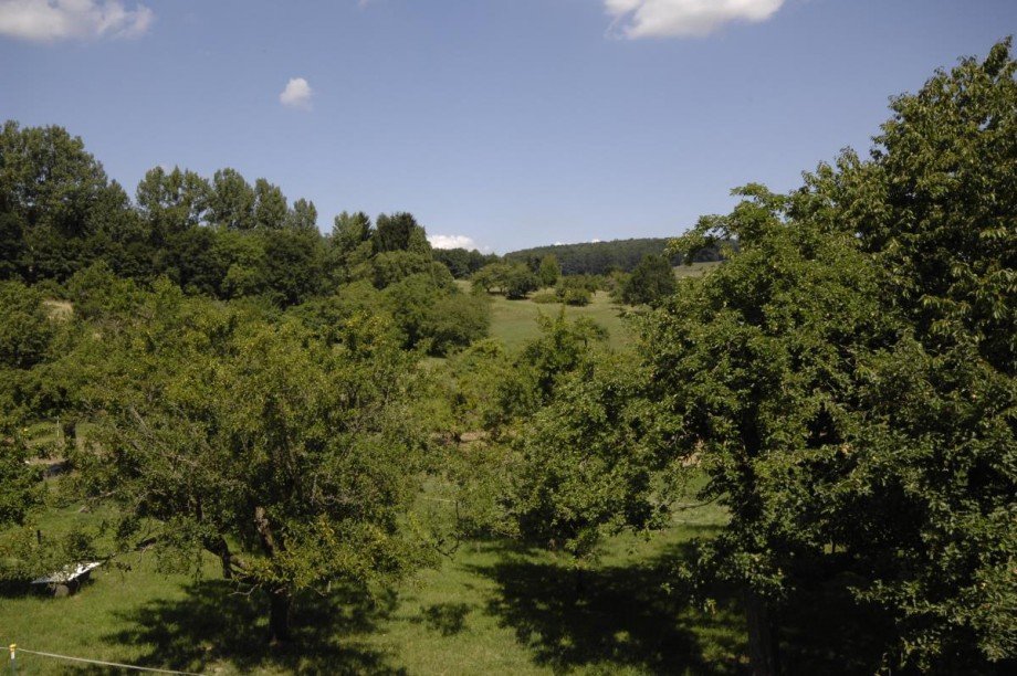 Ausblick Zweifamilienhaus Reichelsheim