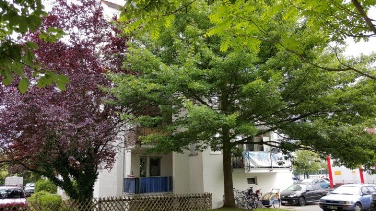 20150623_101903 Erbach Wohnung Gepflegte 2 Zimmer Eigentumswohnung sucht Neuen Eigent�mer.