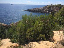 Blick aufs Meer Bungalow in Top-Lage von Ibiza in Roca Llisa