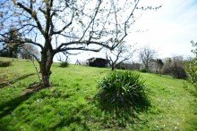 Blick in den Garten Haus mit 2 Wohneinheiten in Top-Lage von Fr�nkisch-Crumbach mit gro�en Obstbaumgrundst�ck