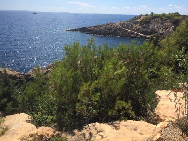 Blick aufs Meer Roca Llisa - Ibiza Haus Bungalow in Top-Lage von Ibiza in Roca Llisa