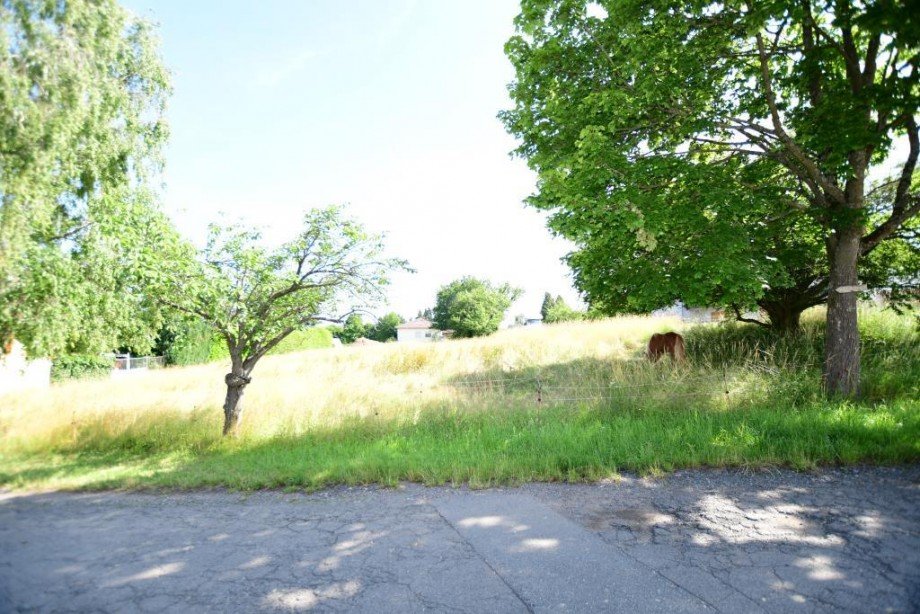 Blick in die Natur Zweifamilienhaus H�chst/Hassenroth