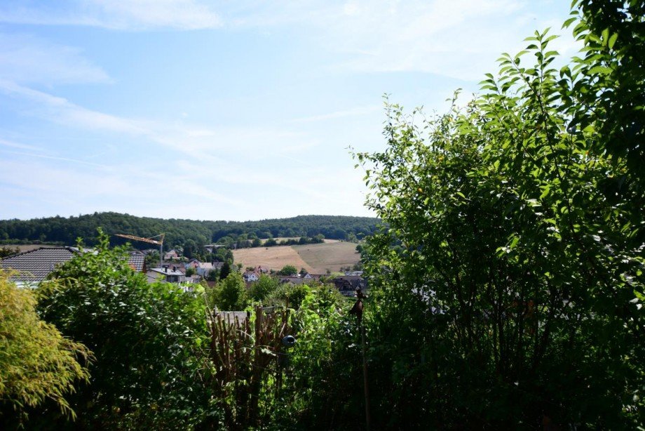 Aussicht Einfamilienhaus Fischbachtal