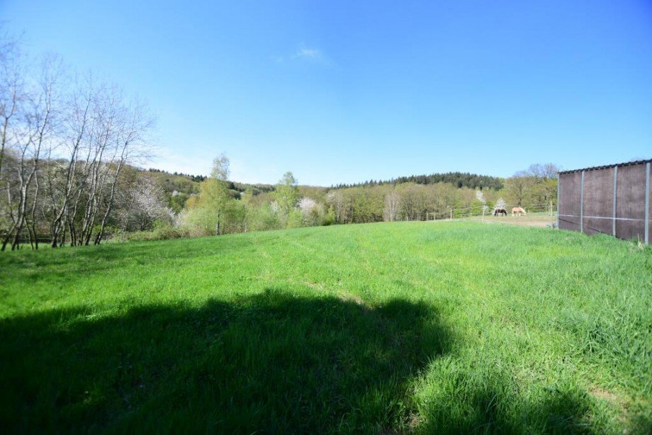 Wiesengrundst�ck 2 Land- / Forstwirtschaft - Grdst. Brensbach