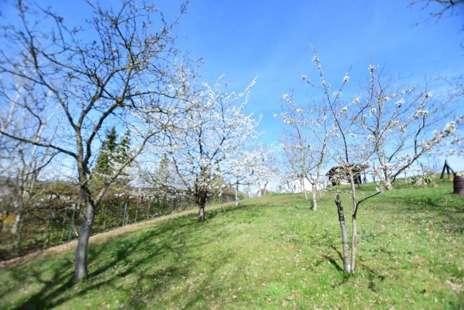 Obstbaumgrundst�ck Einfamilienhaus Fr�nkisch-Crumbach